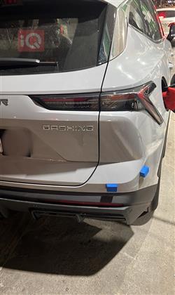 جيتور داشينج